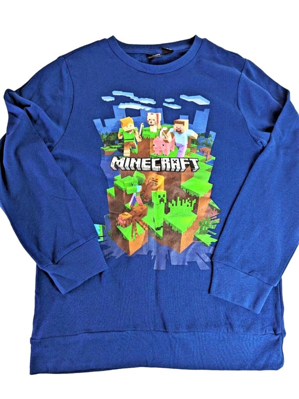 Mad Engine Minecraft Blue Sweatshirt Boys‎ Size XL Creeper Steve Reuben Alex New